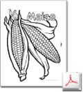 Maize Coloring Page
